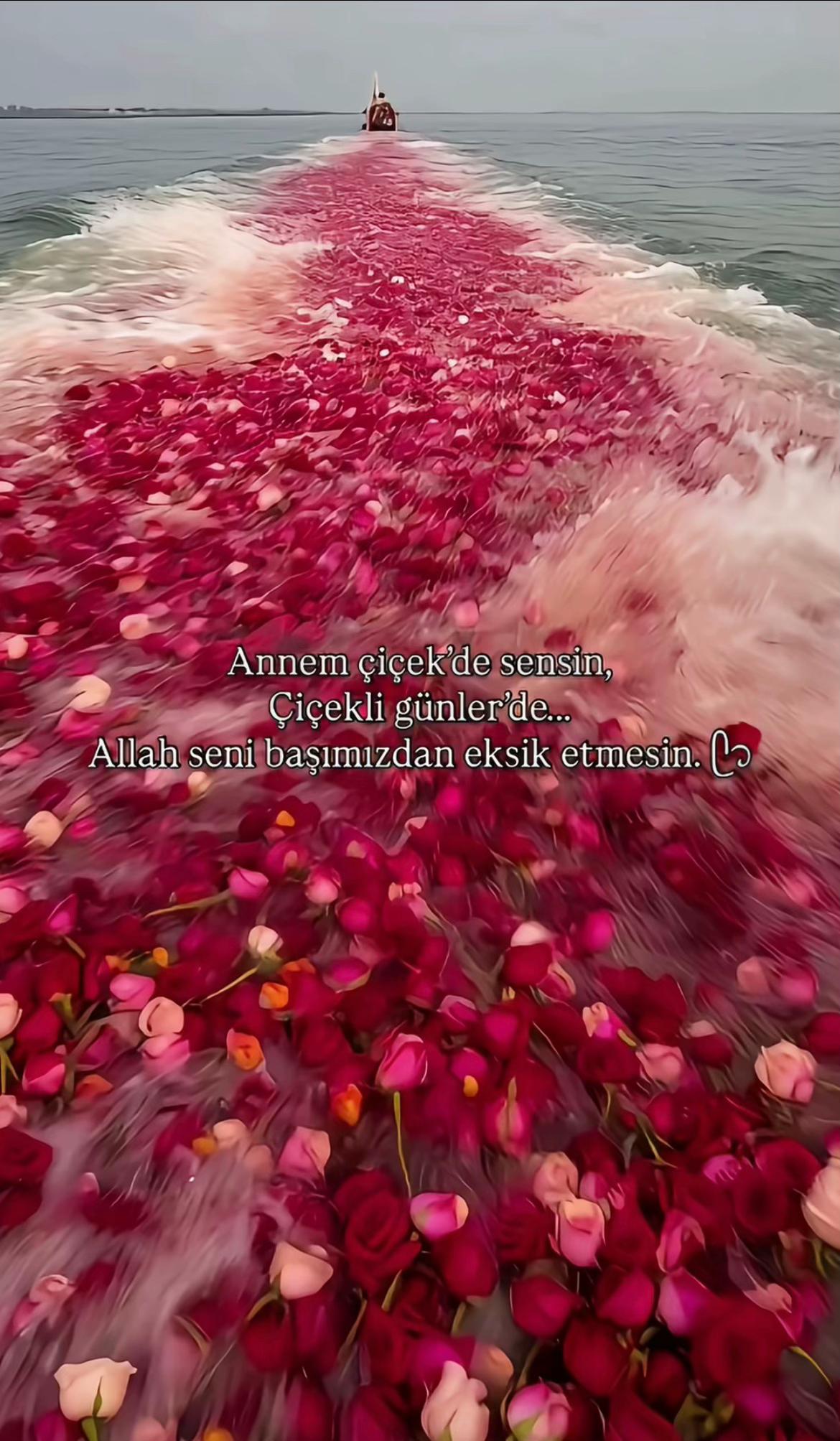@Muratcanargun01