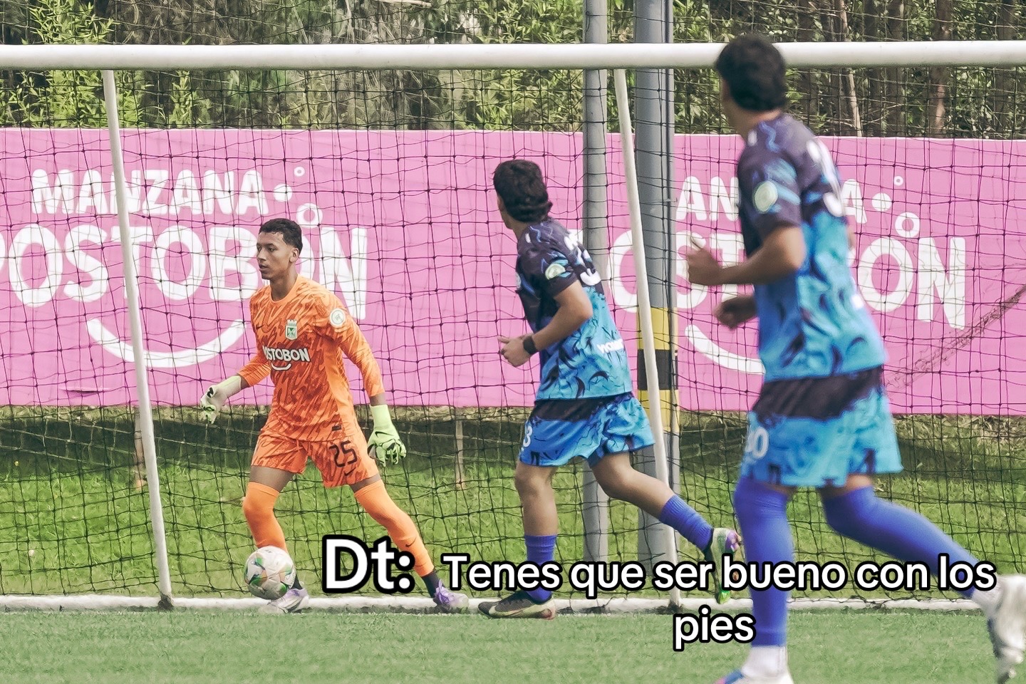 @Pacheco