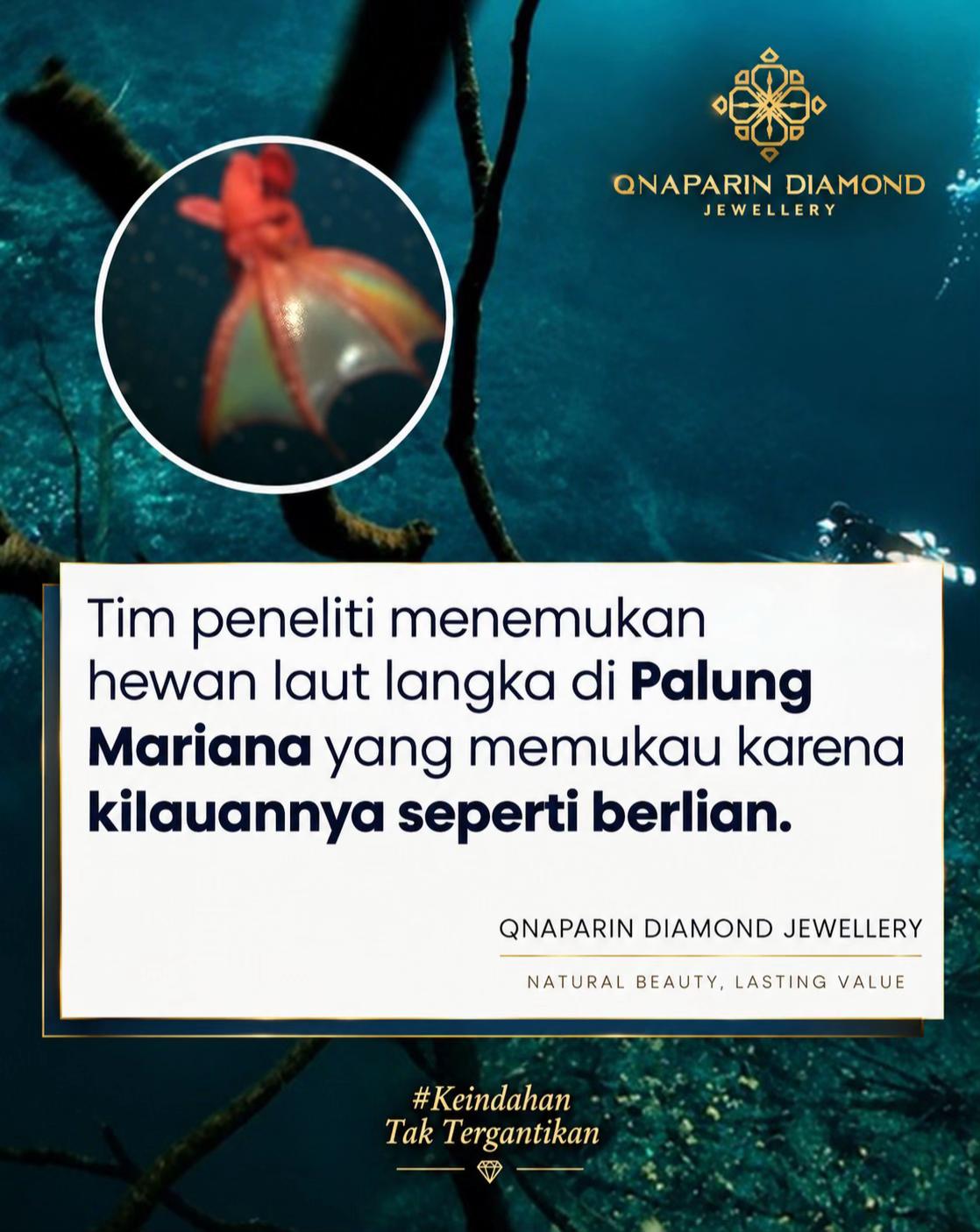 @Qnaparin_diamond