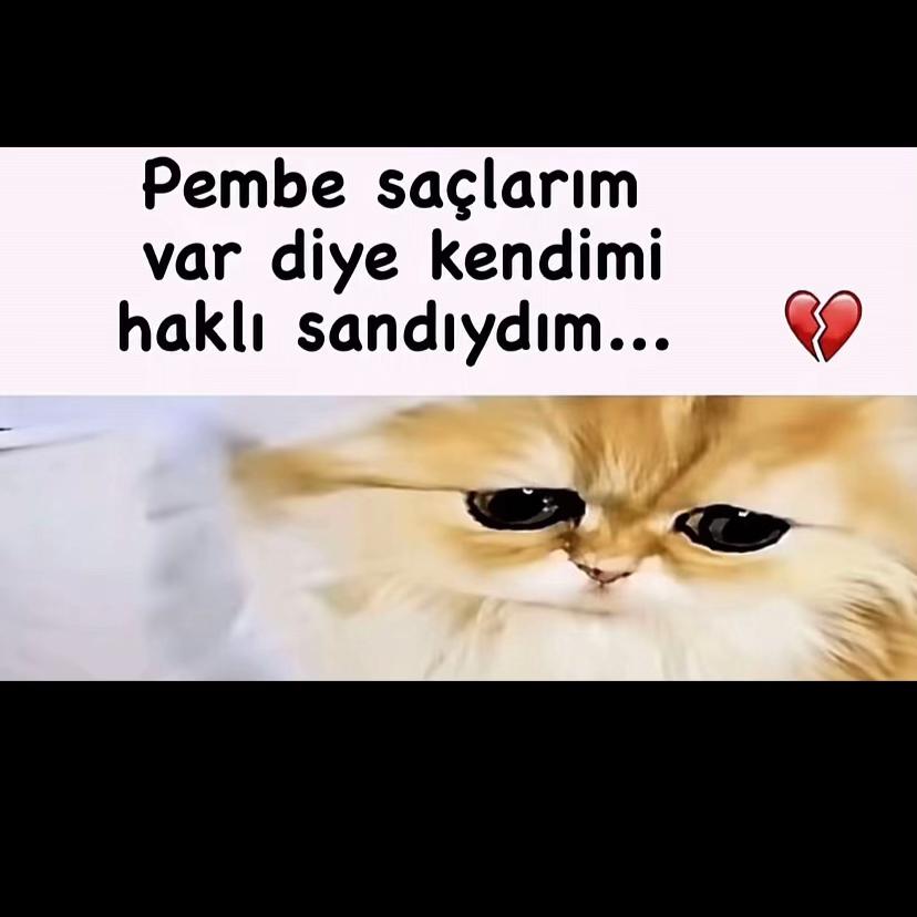 @kiymalibezelye38