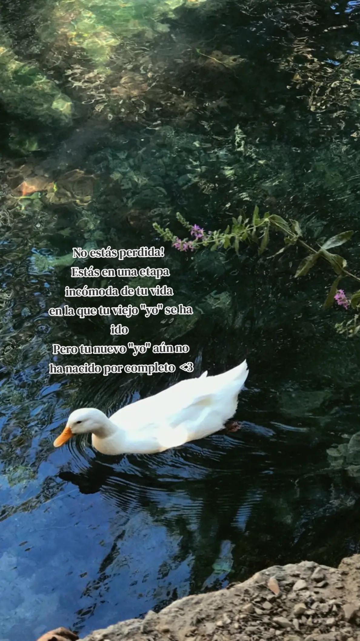 @๐ฐ๐ ๐๐๐๐๐ ๐๐๐๐๐๐๐