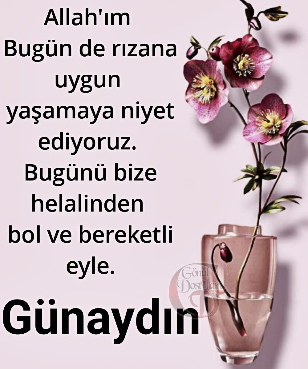 @🇹🇷Ⓜ️UR🅰️T01🇹🇷