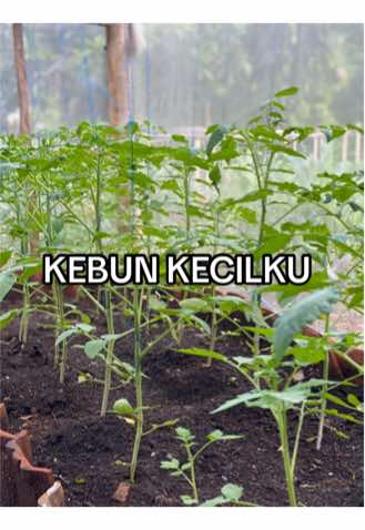 @Lest style