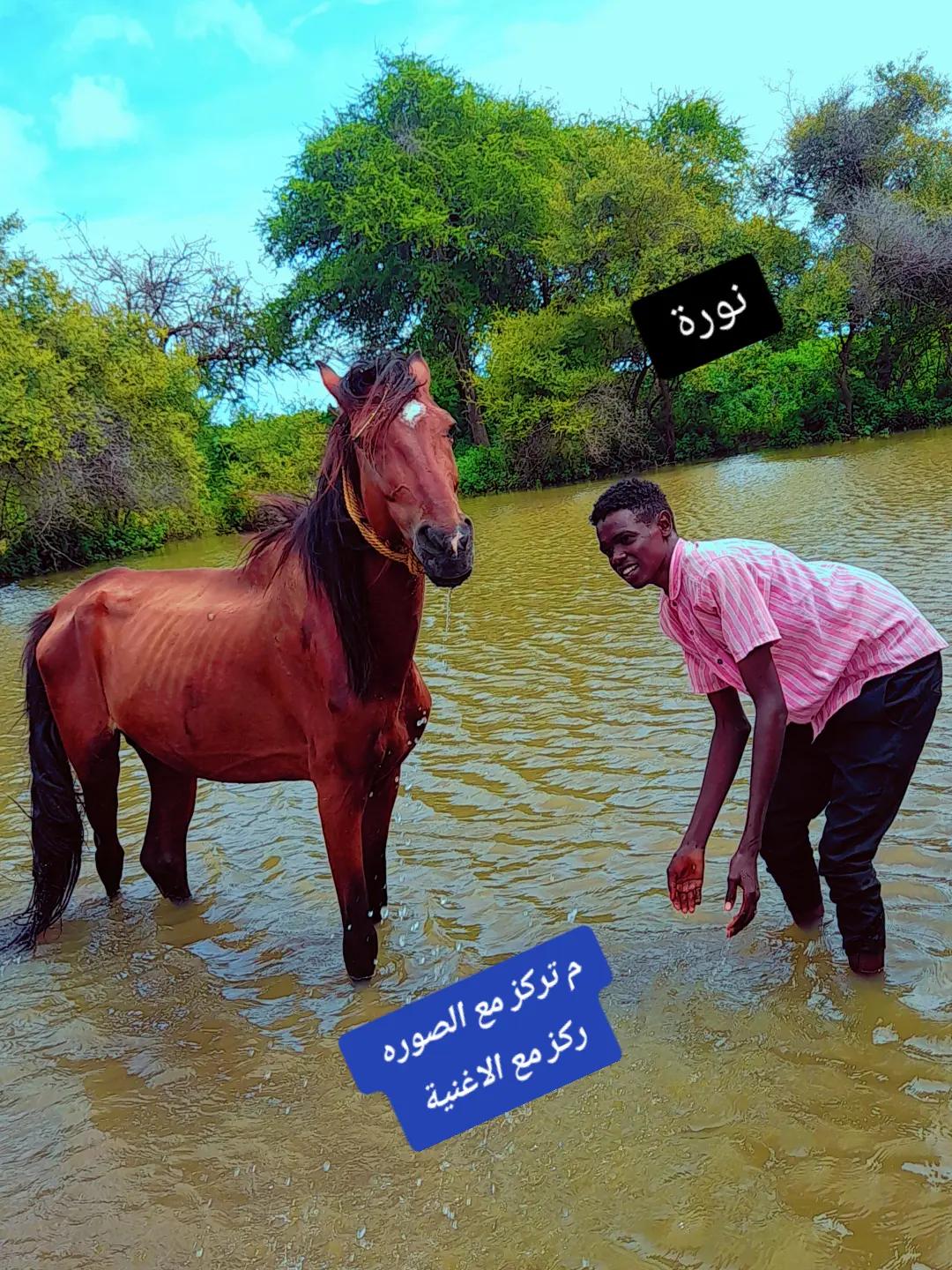 @كتاحه "Katah"