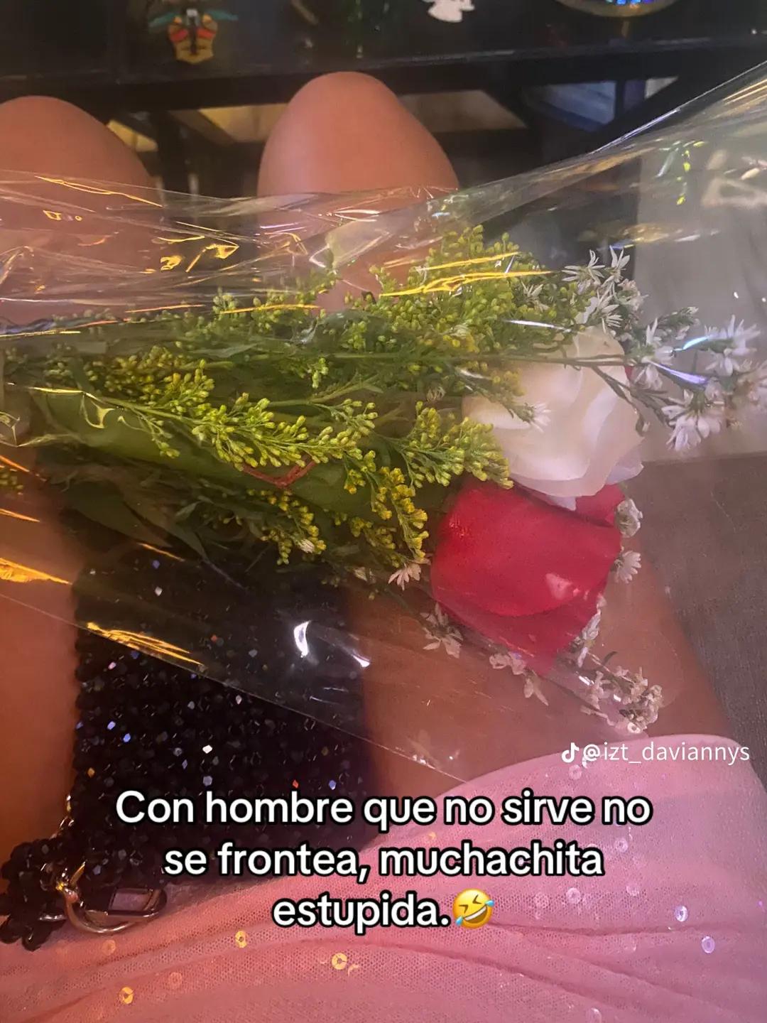 @las yoaa 444