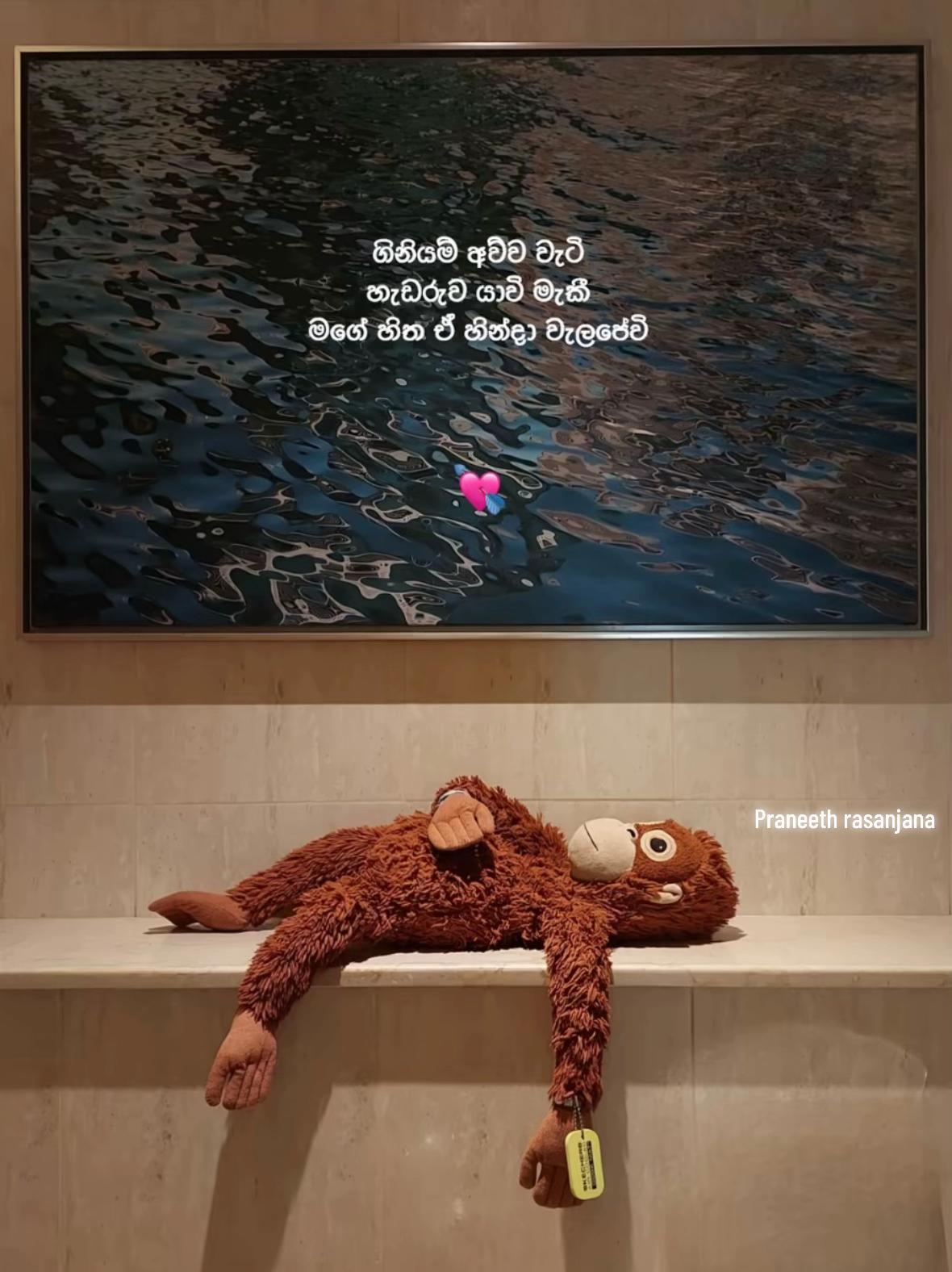 @praneeth_rasanjana