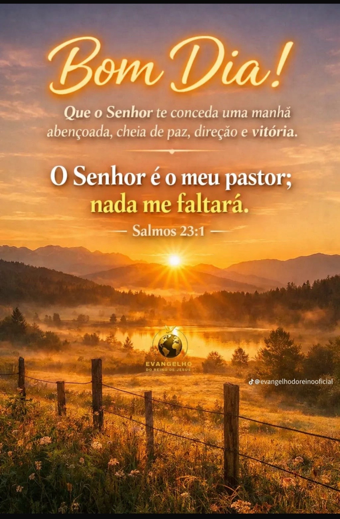 @Bruno Maciel