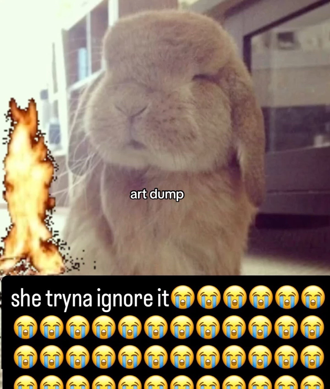 @🐾
