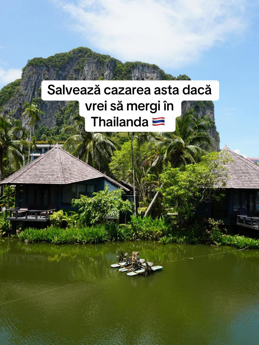 @goandsee.ro
