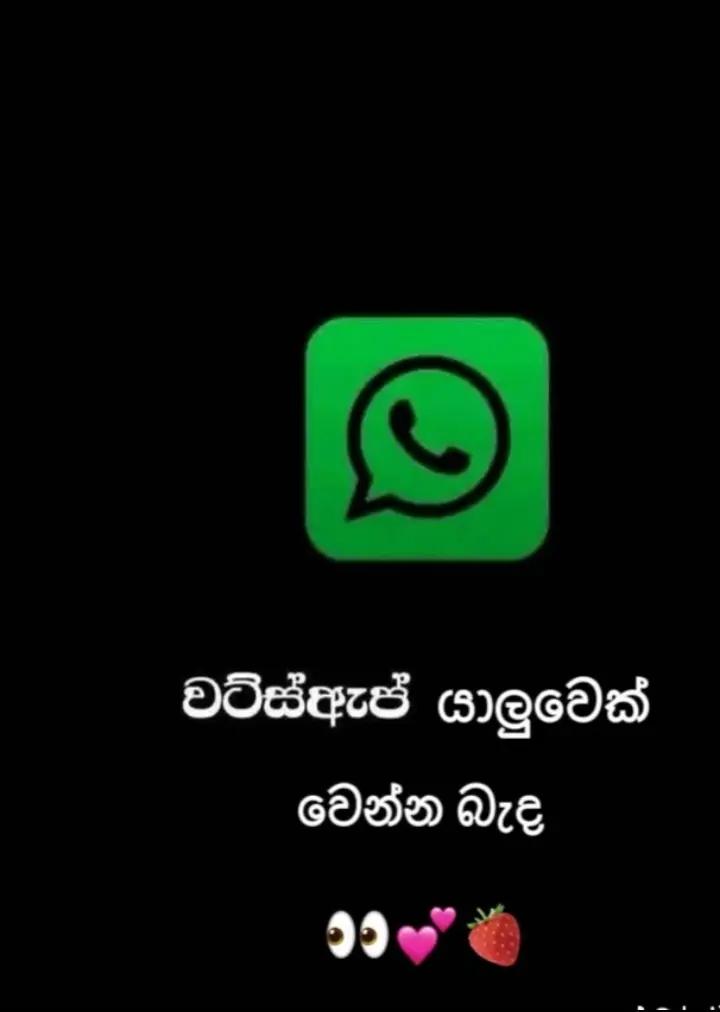 @🍎🐇Thilini M Senavirathna🍎🐇