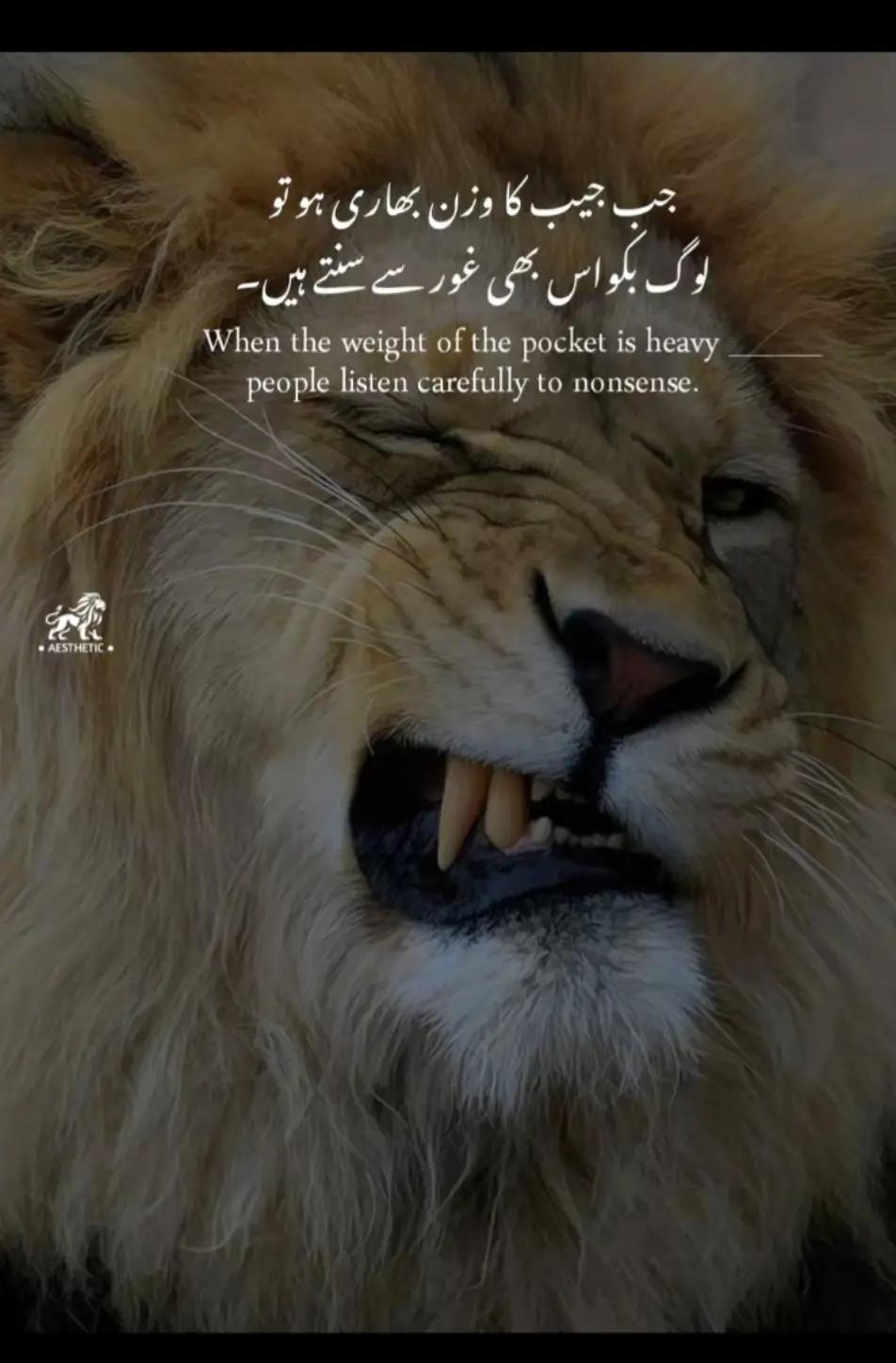 @FAIZAN.FAizy