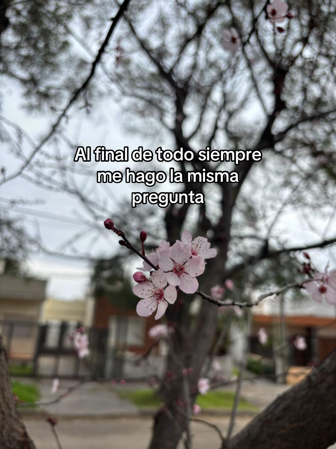 @romii_cecheles