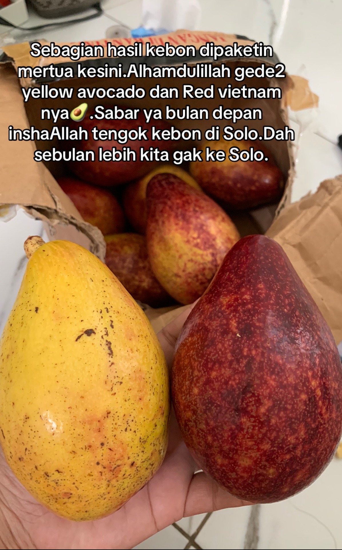 @Mardiana eka