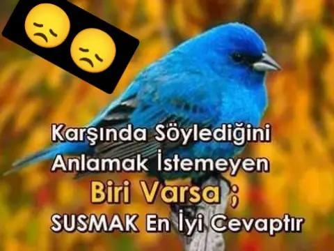 @๐ฅ๐๐๐๐๐๐_๐๐๐๐ผ๐๐๐ฅ
