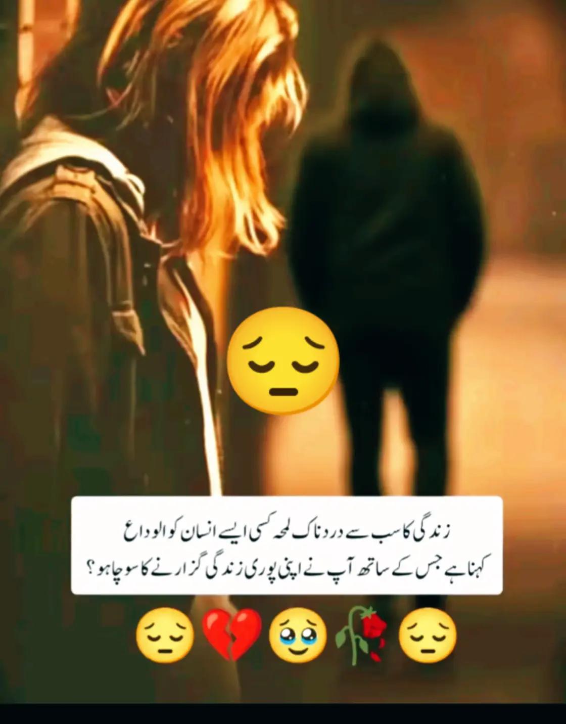 @Hassan Hussain💞