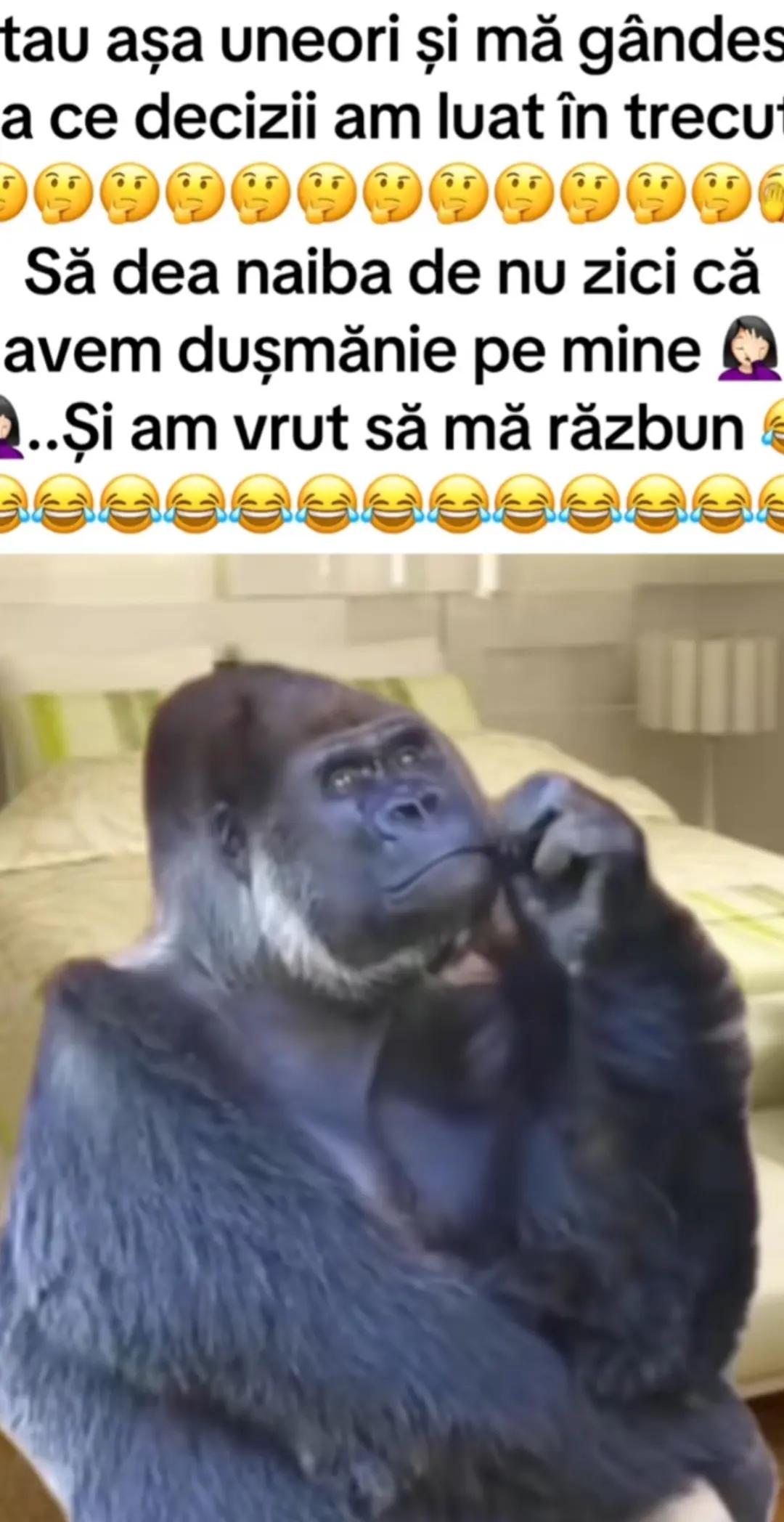 @Cristina