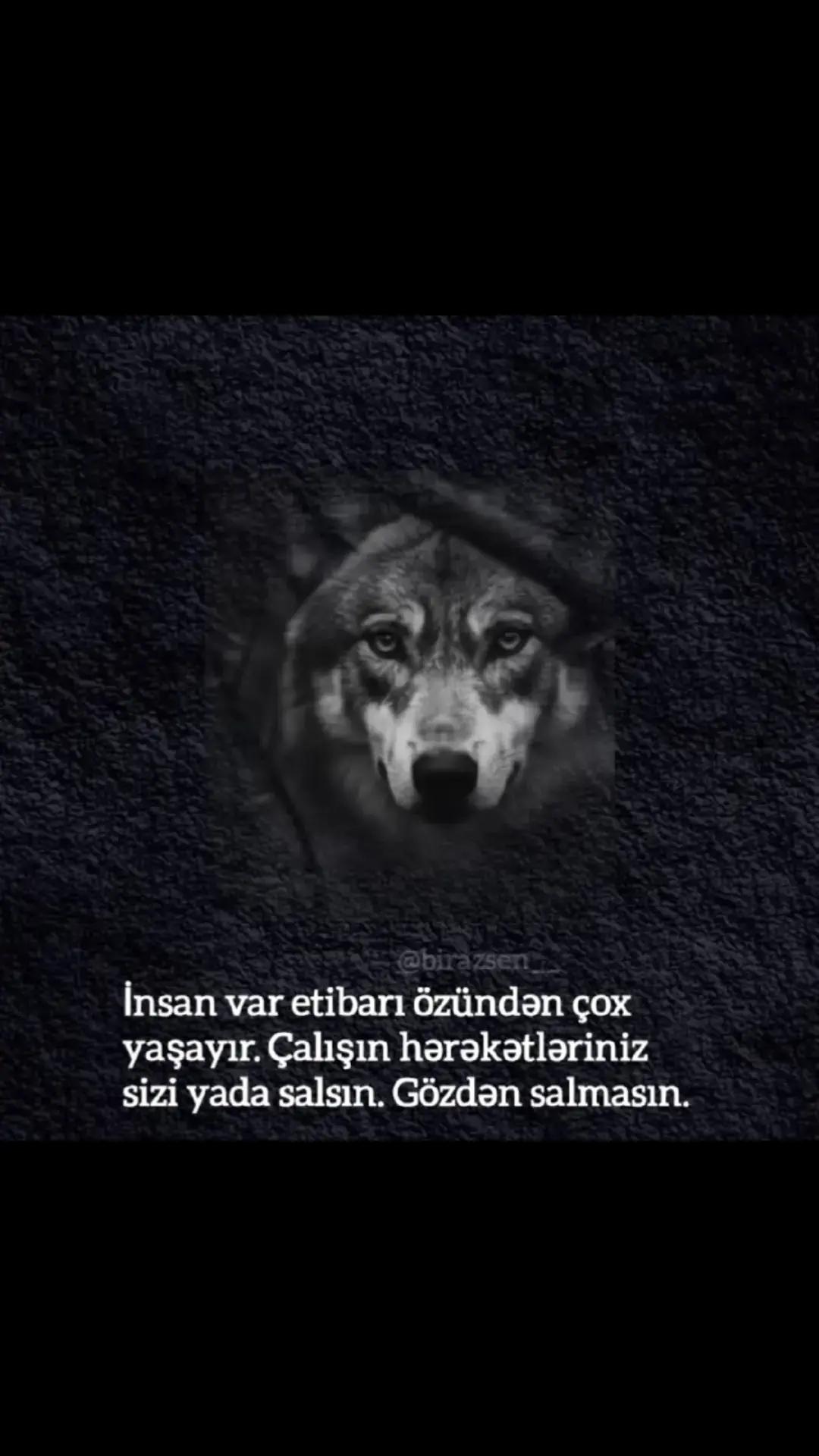@ramiq.sabiroglu.official