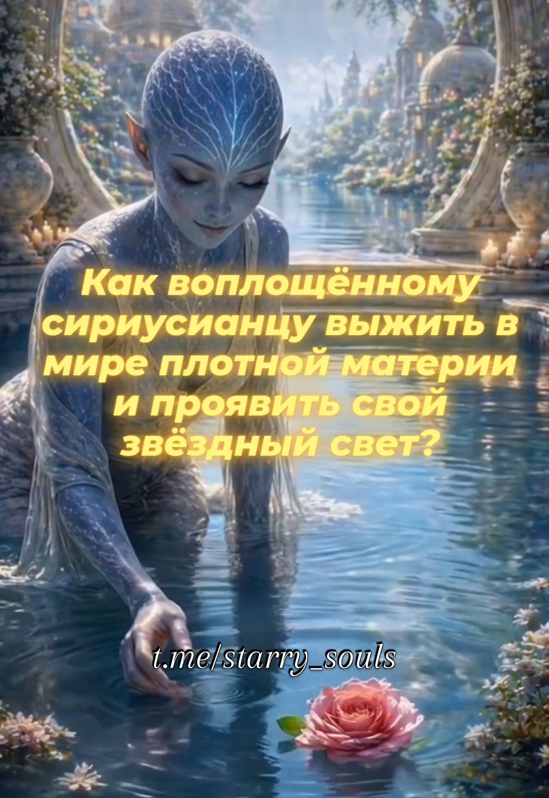 @Elena Aryann