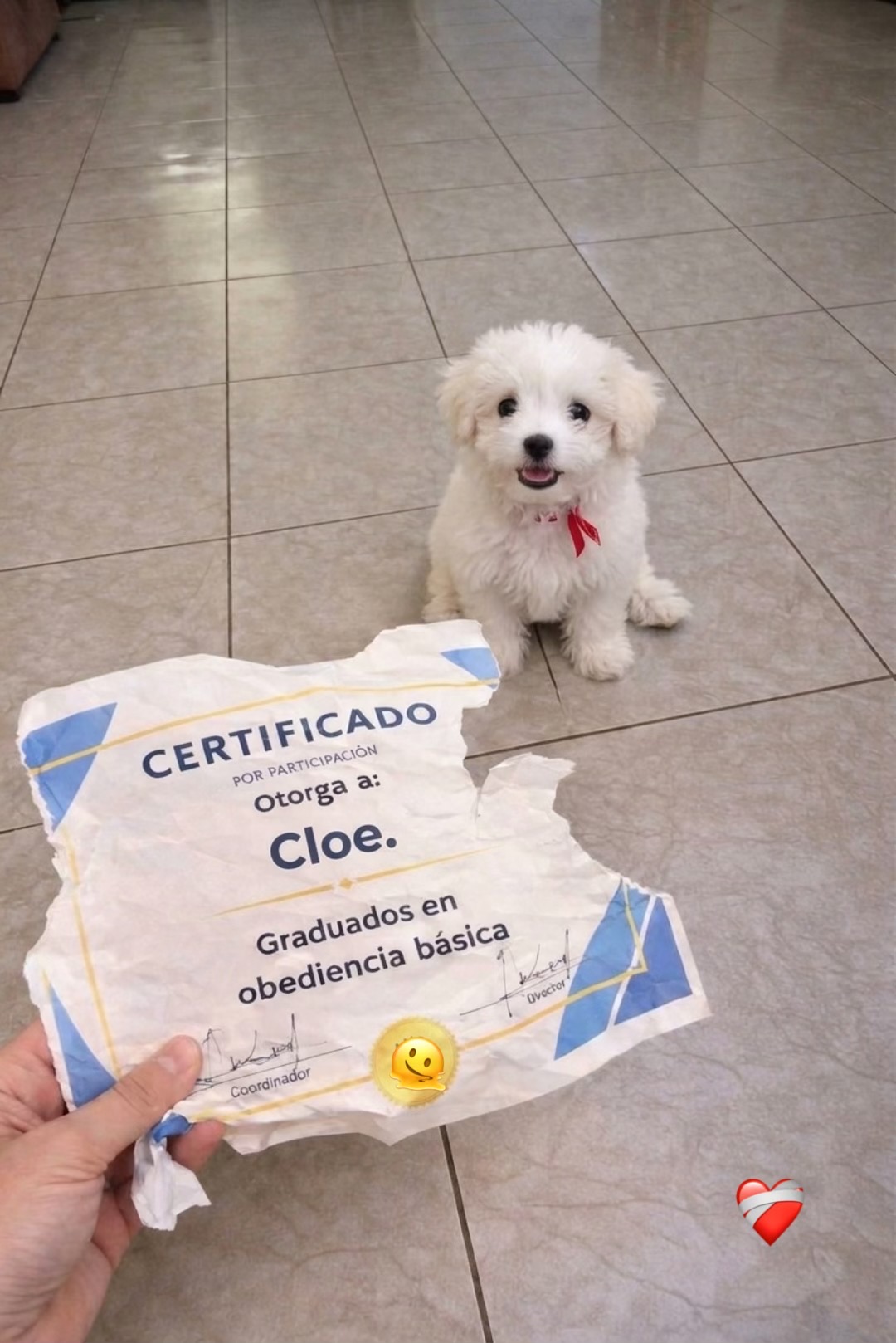 @Cloe
