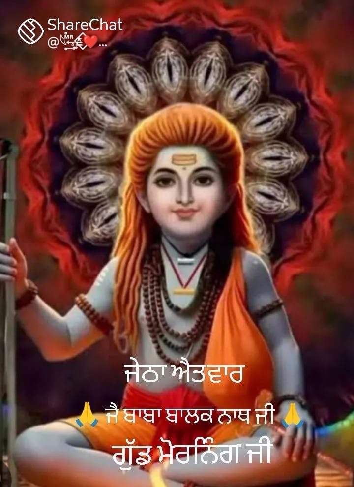 @Vik USA