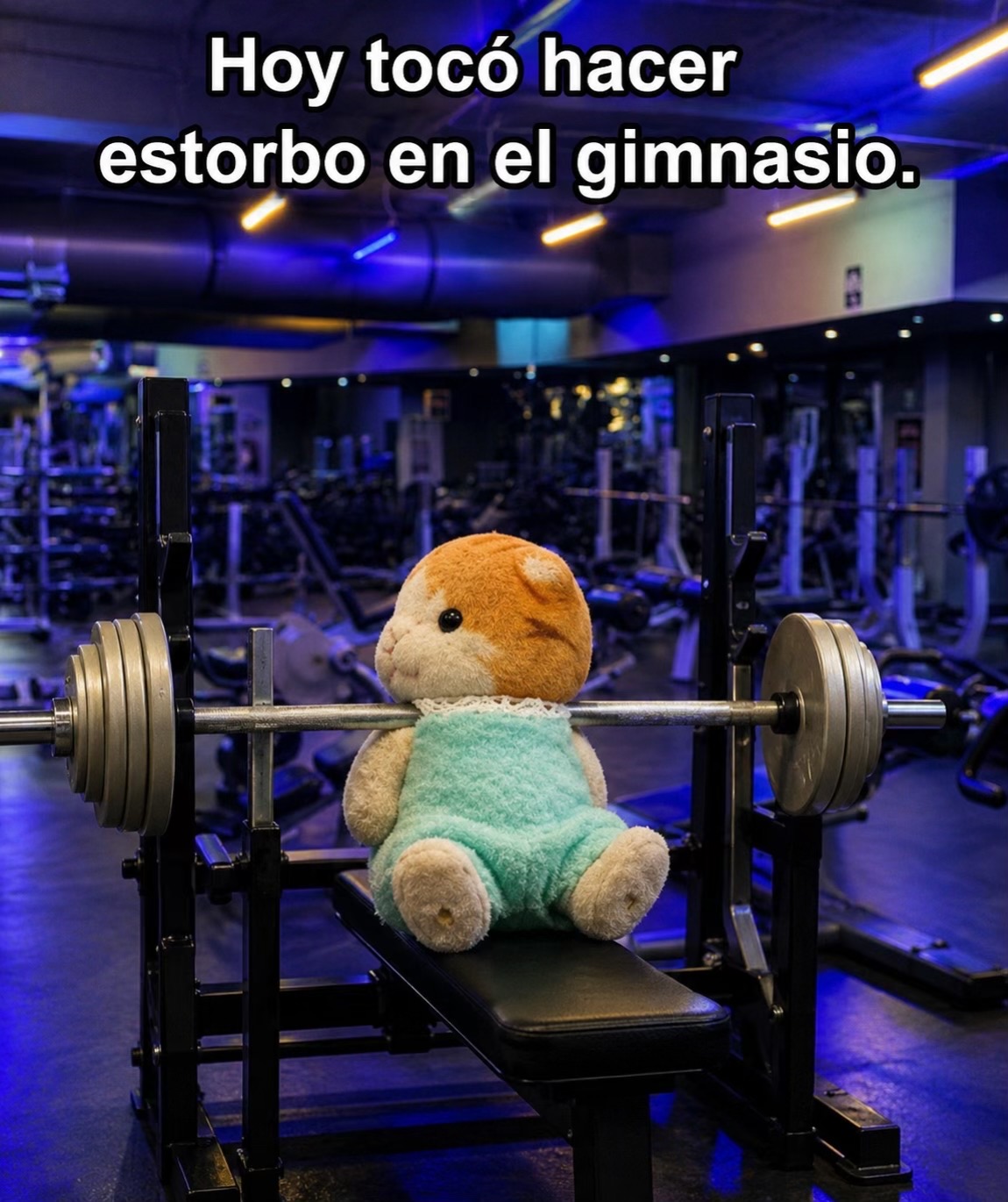 @Go! Fitness