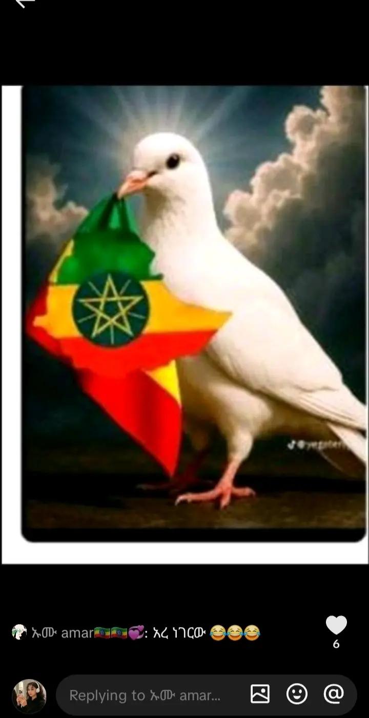 @Hekmu