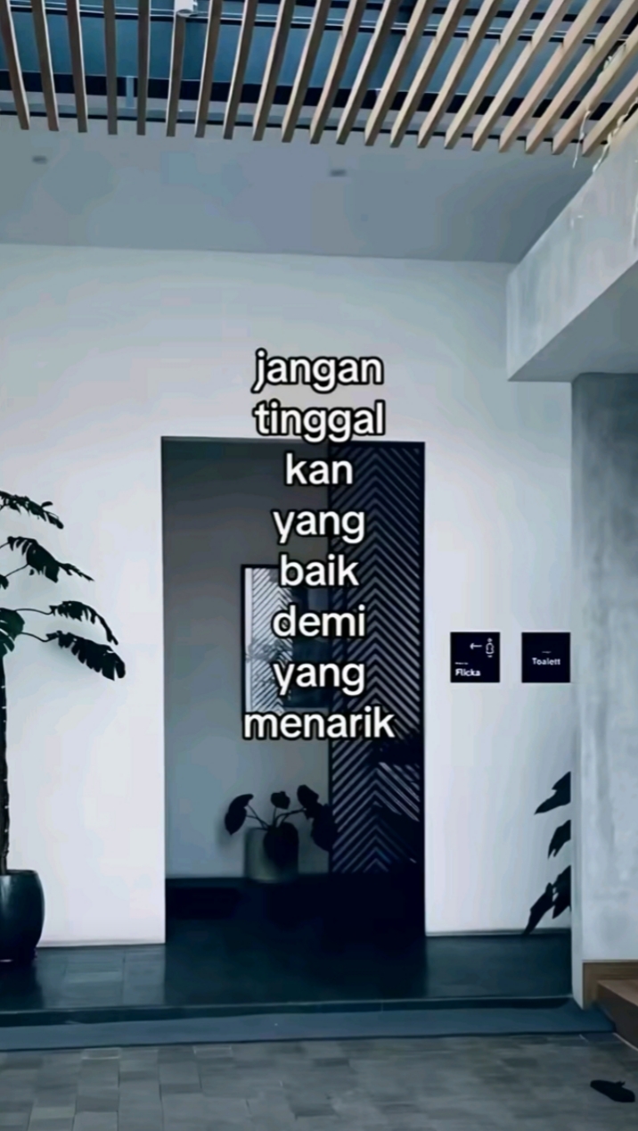 @windii🌷🌷