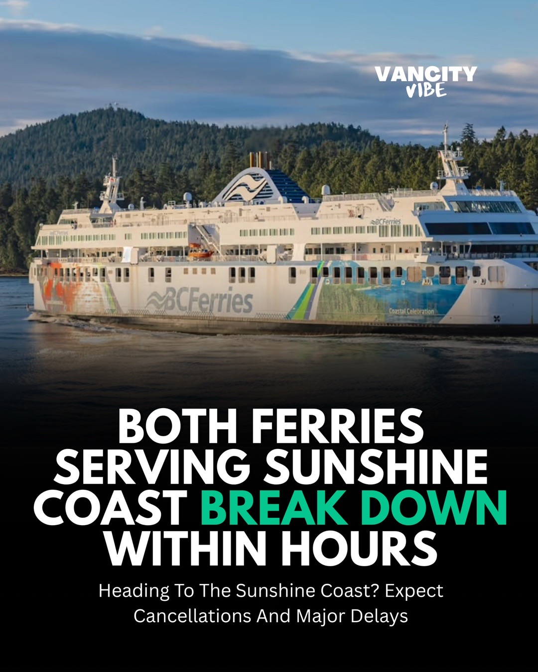 @vancityvibe
