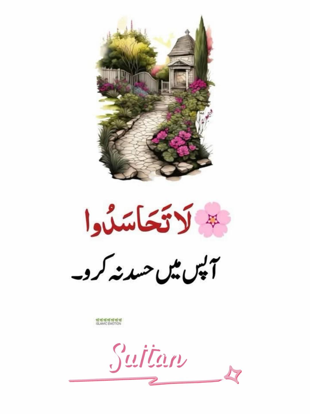 @Sultan