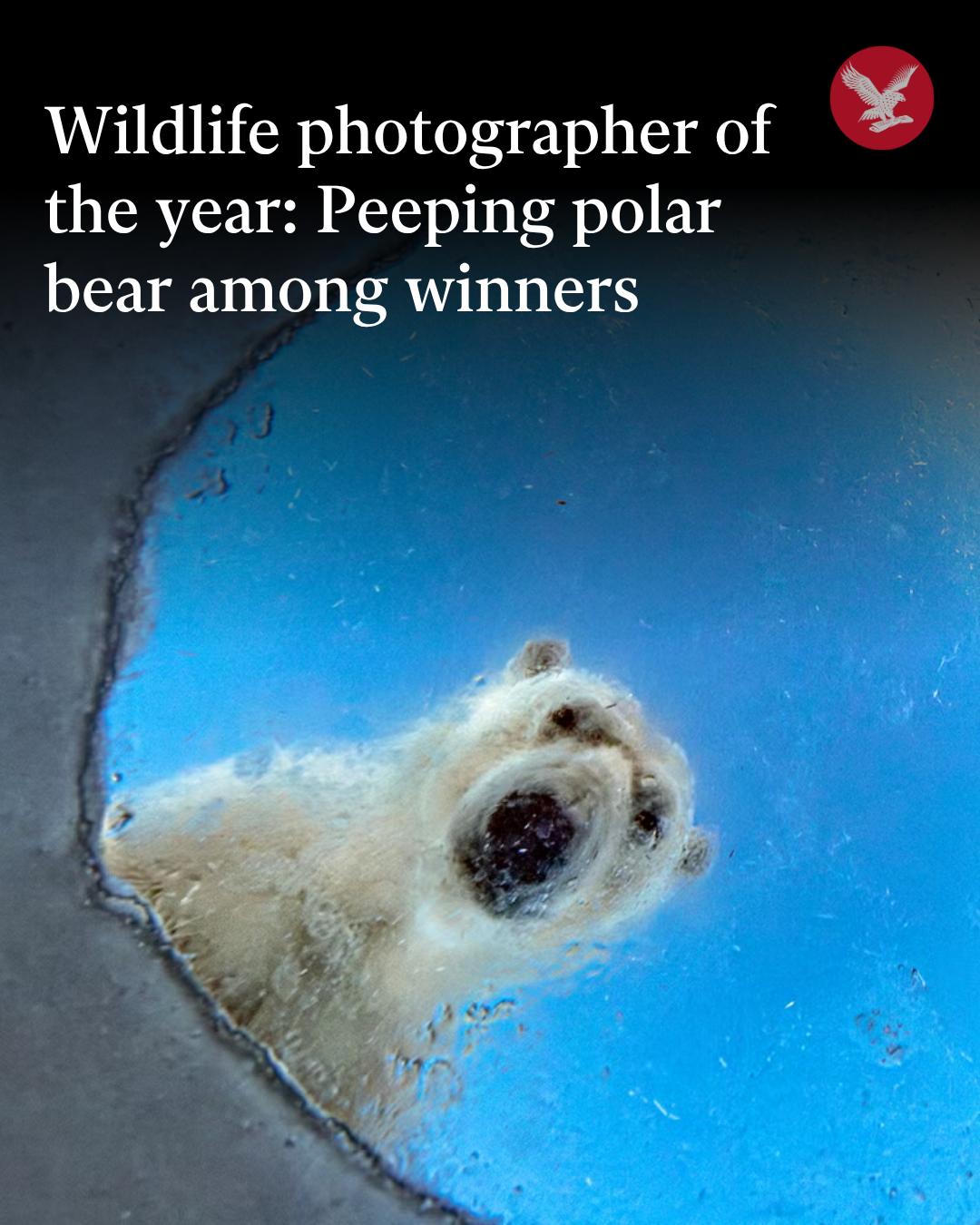 @Independent