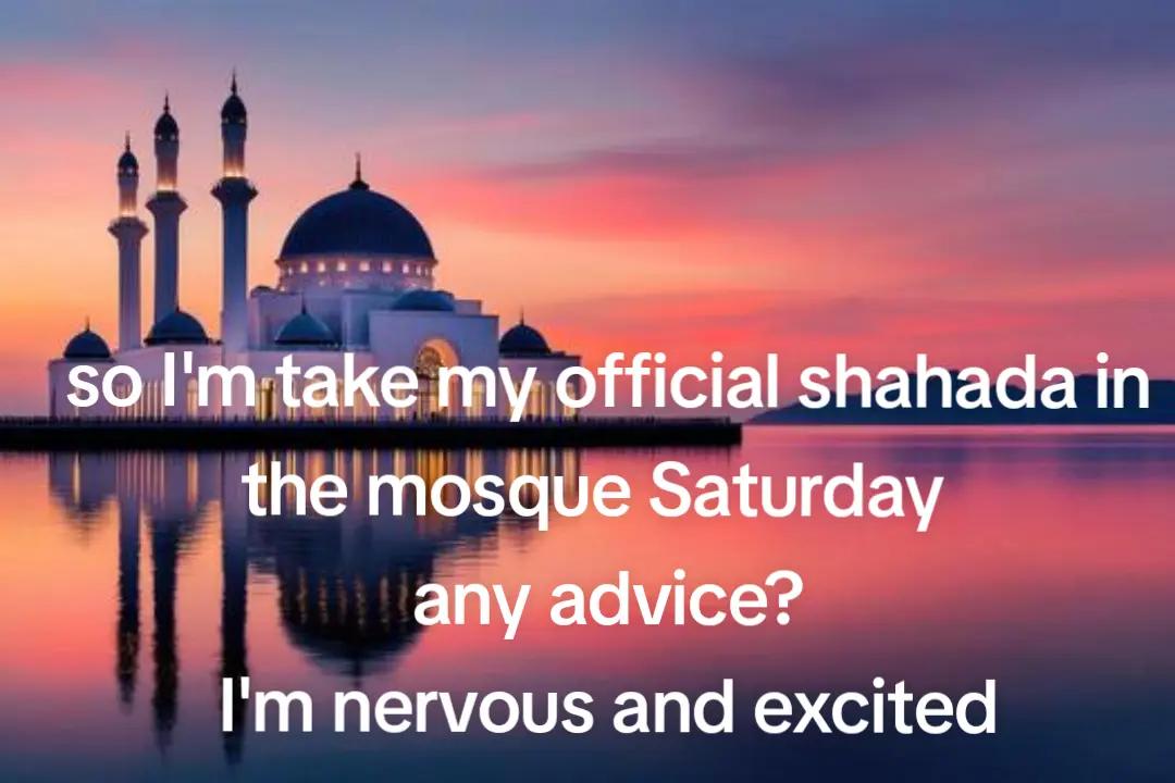 @☪️ Revert_shawnie☪️