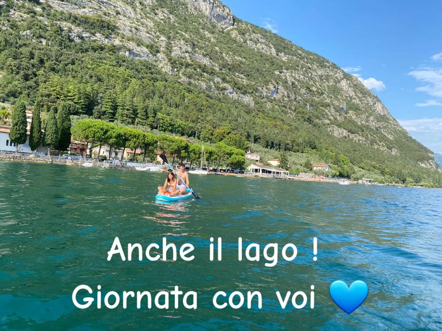 @Ely Bonardi