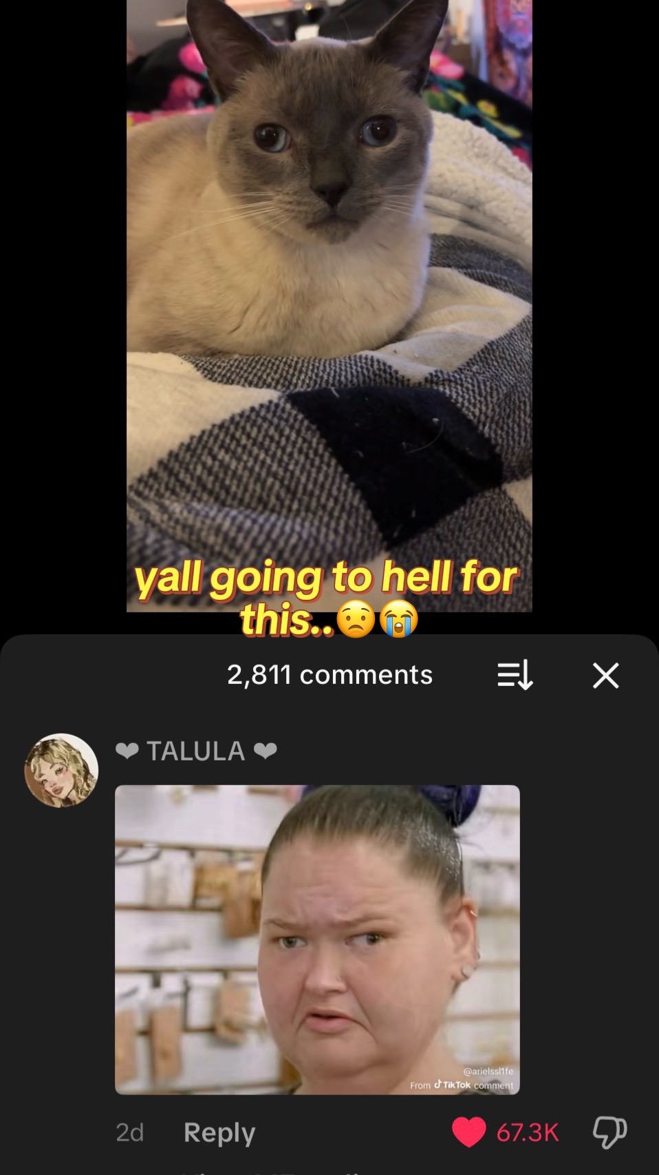 @renoldswrap84