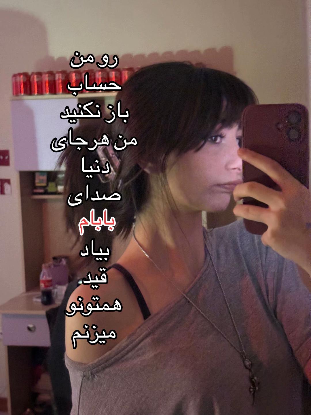 @little kitten