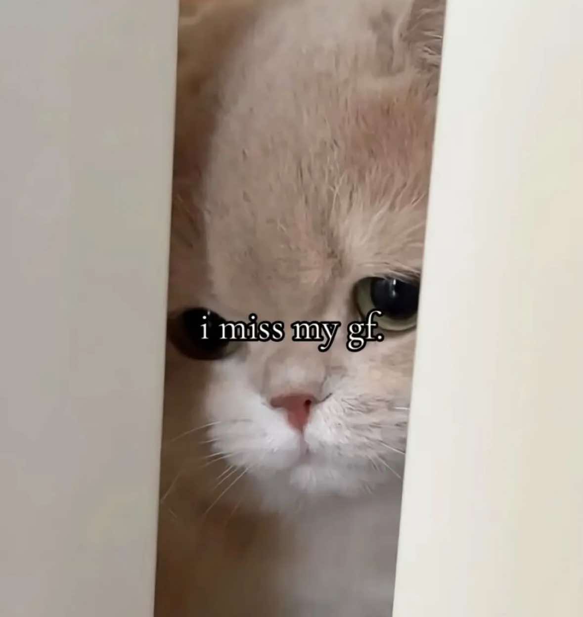 @thoughtswithred