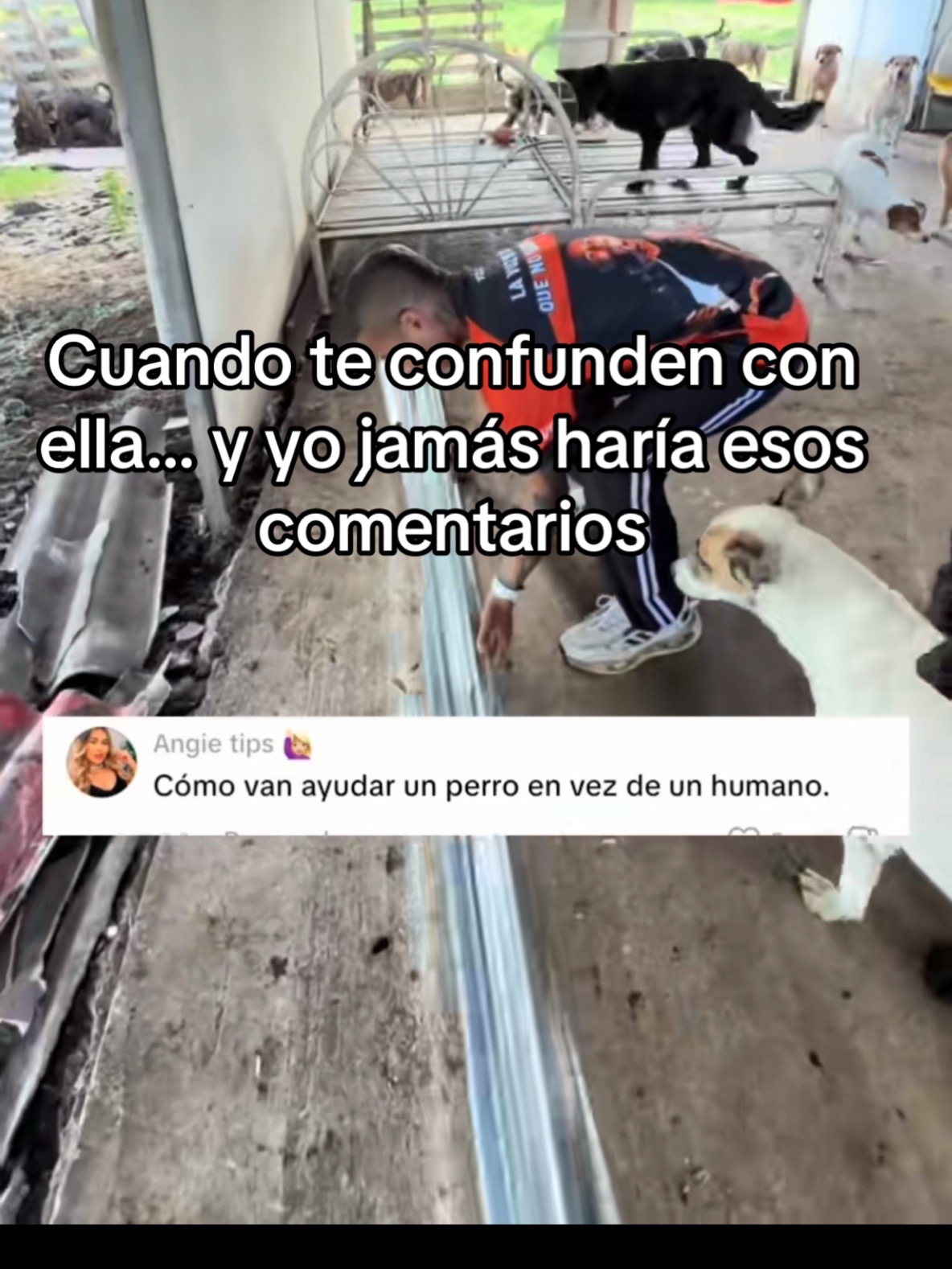 @angietips