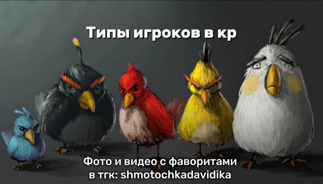 @Шмотка Давида