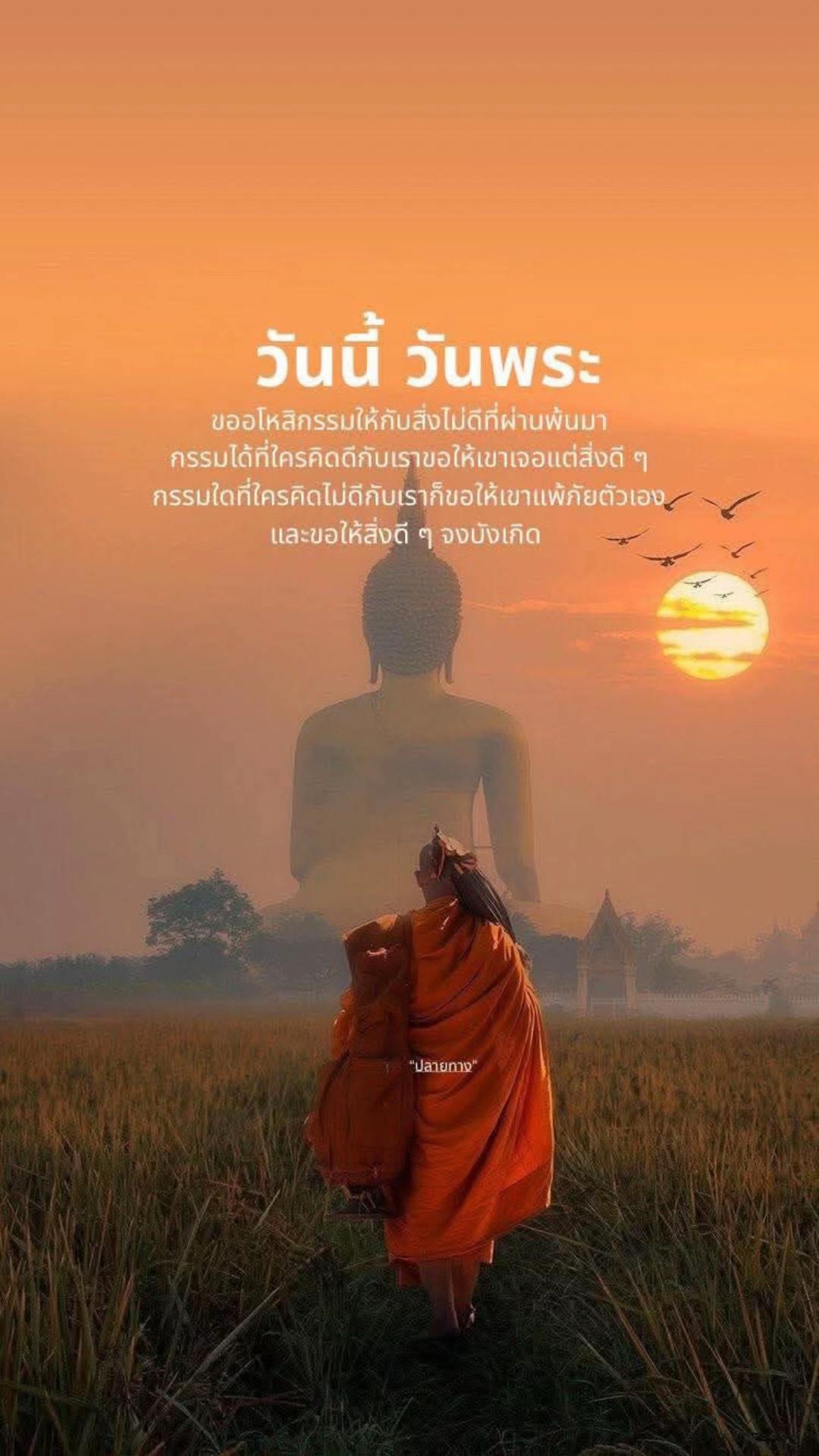 @Sapnaka888