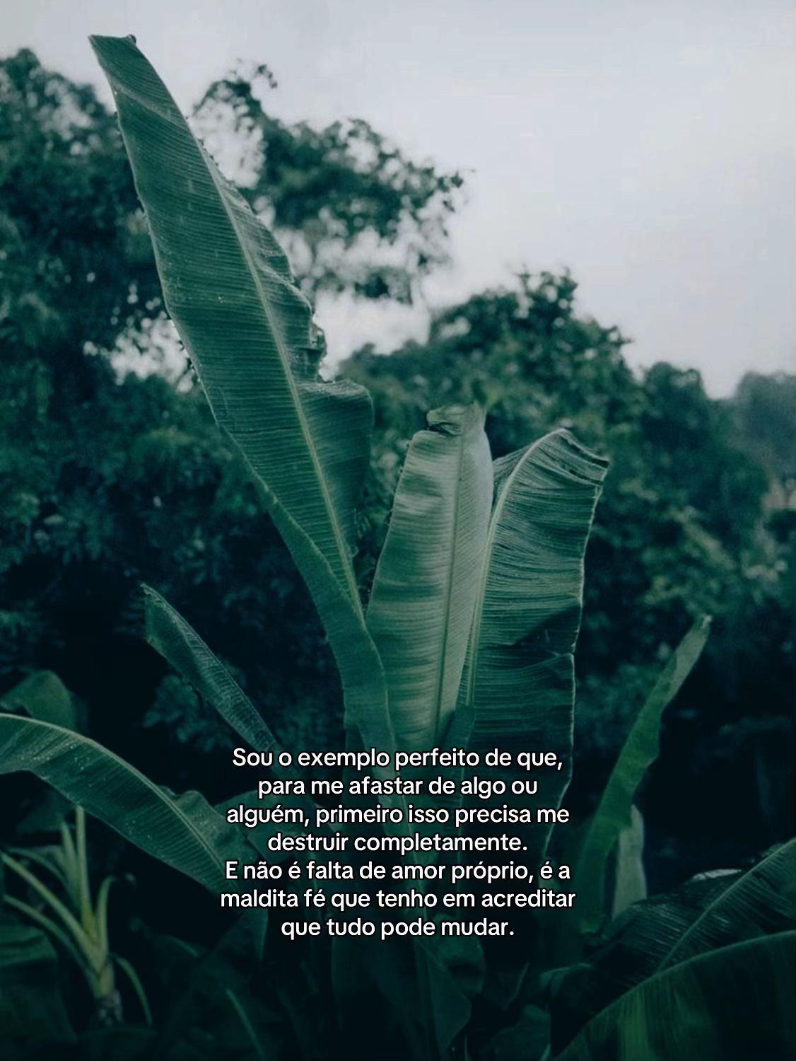 @Apenas Mais Um Tumblr