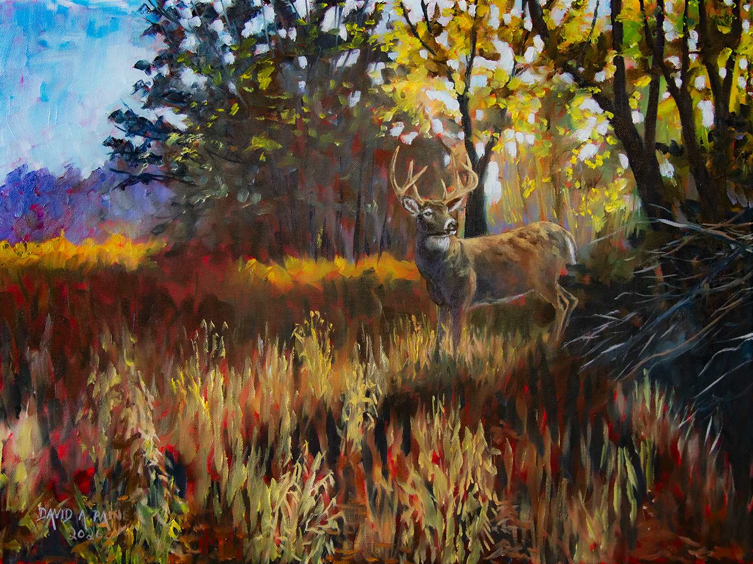 @The Art of David A Paine