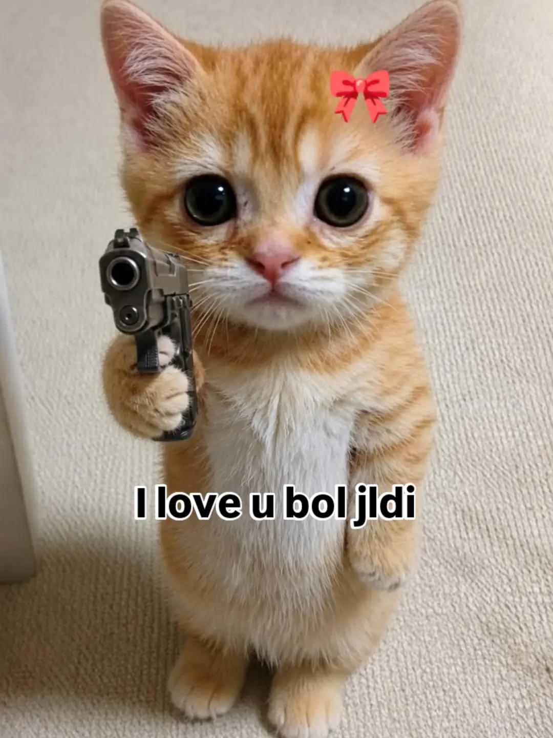 @Saim🫀