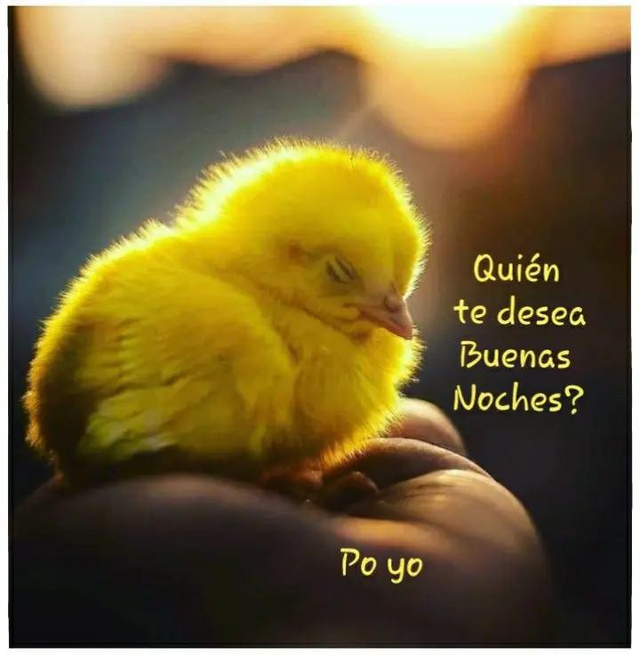 @Tus rolitas, poemas y m&aacute;s 𖣓