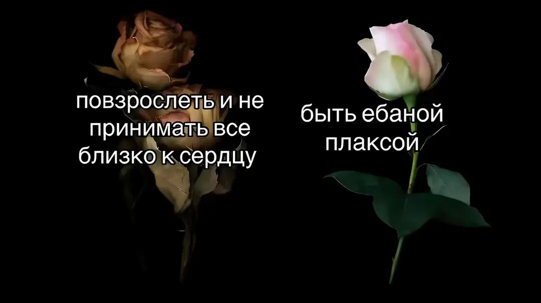 @freak