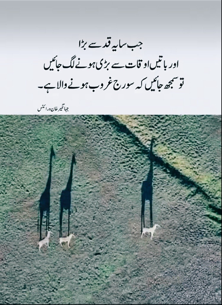 @itz_murshad_1