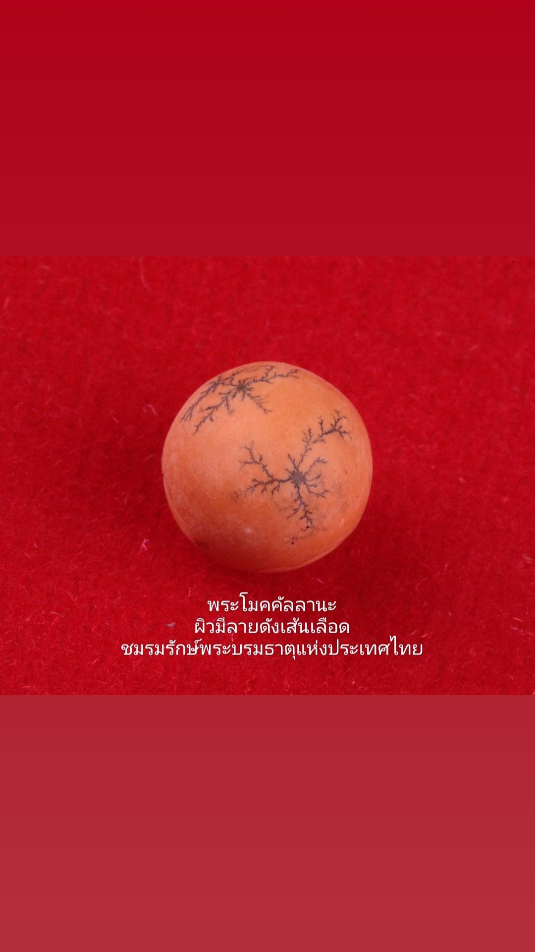 @ชมรมรักษ์พระบรมธาตุฯ