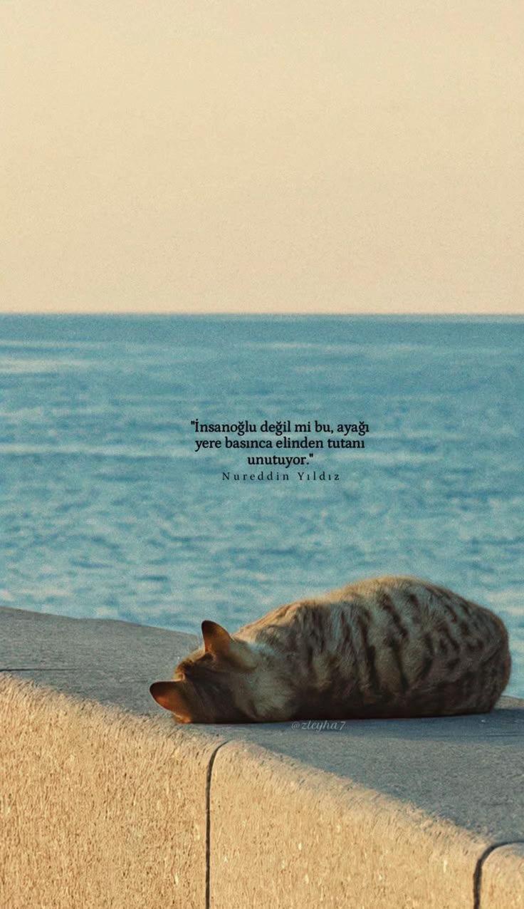 @Buseee