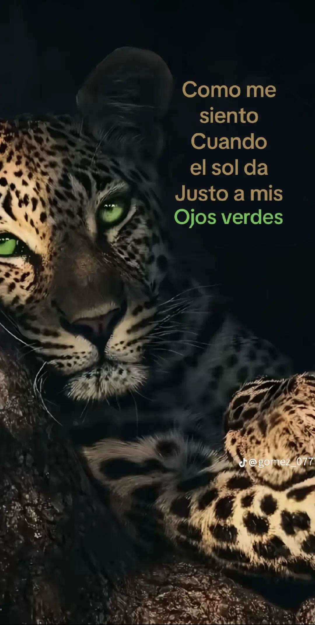 @Ąntitoo🪻🍃