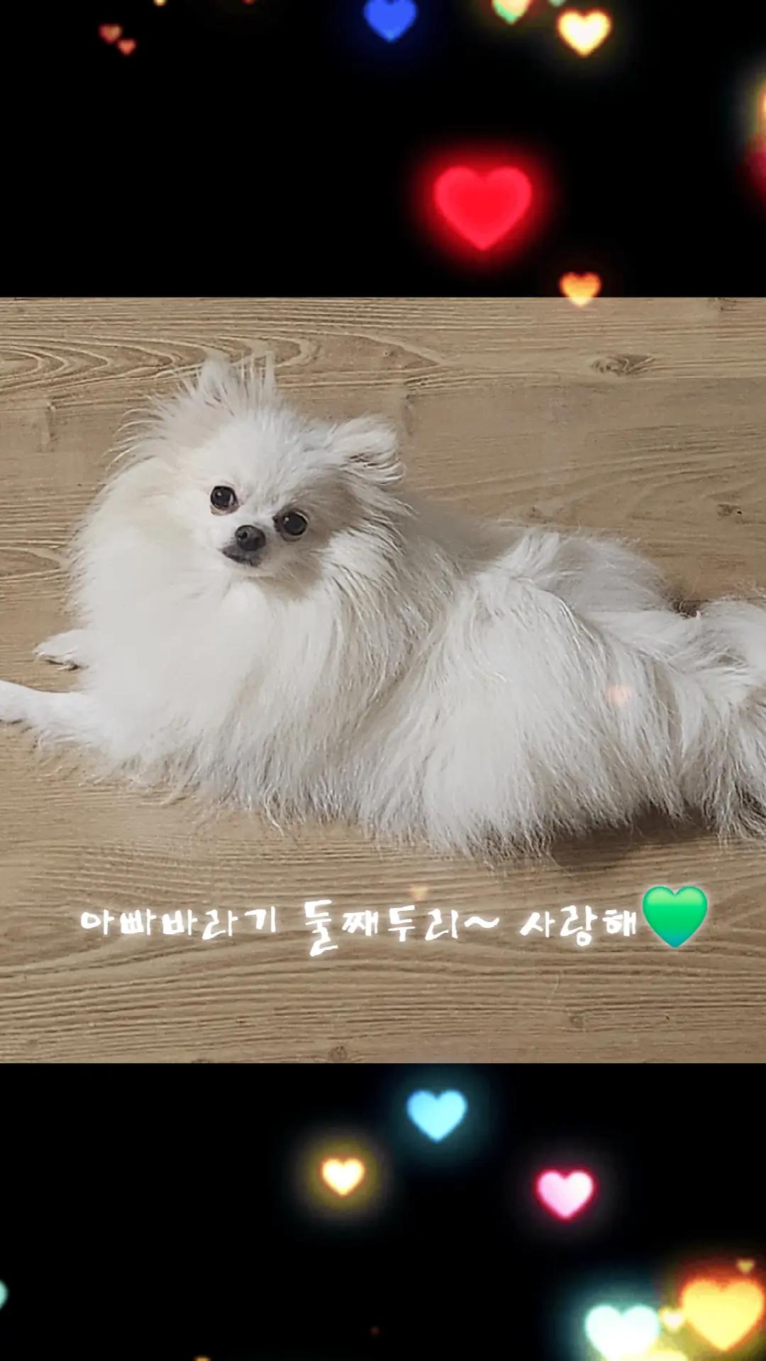 @두진이와두리 아빠