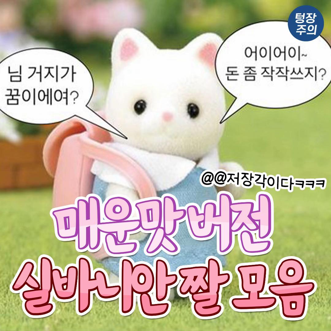 @또앙또앙