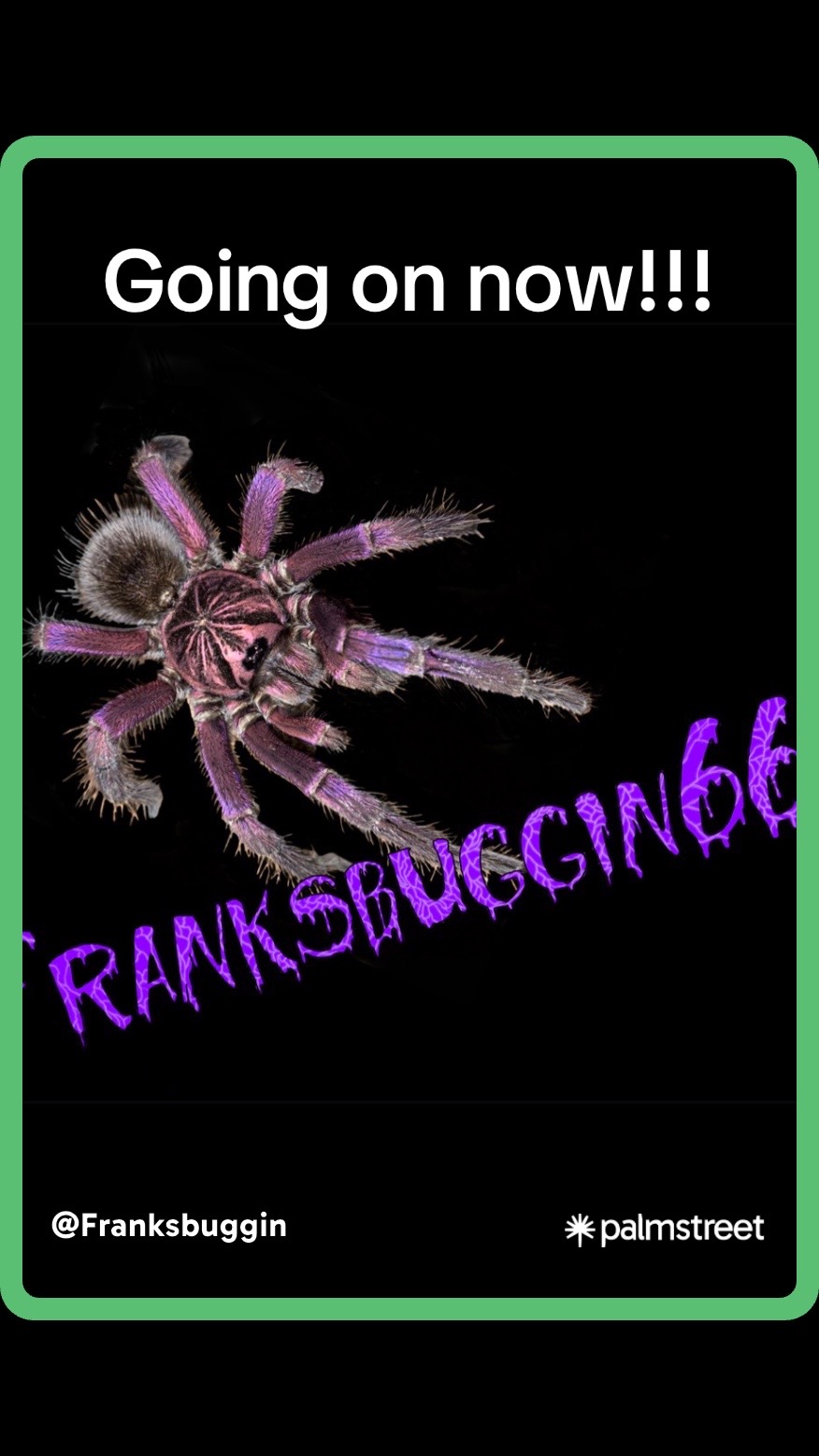 @Franksbuggin611